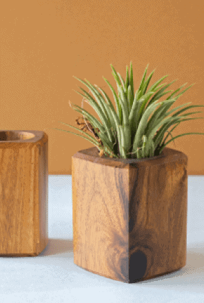 Home Art And Soil Bangalore W4ZUFRJIWHw Unsplash 1