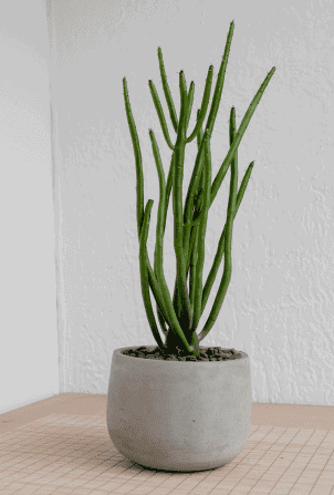 Home Henry Co FObU8l6PyLA Unsplash 1