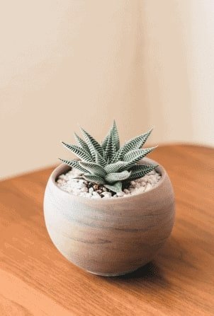 Home Henry Co FObU8l6PyLA Unsplash